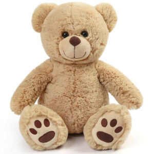 Teddy Bear Plush